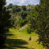 ...e alberi sempreverdi si profuma un�aria pura, in una natura rimasta immacolata